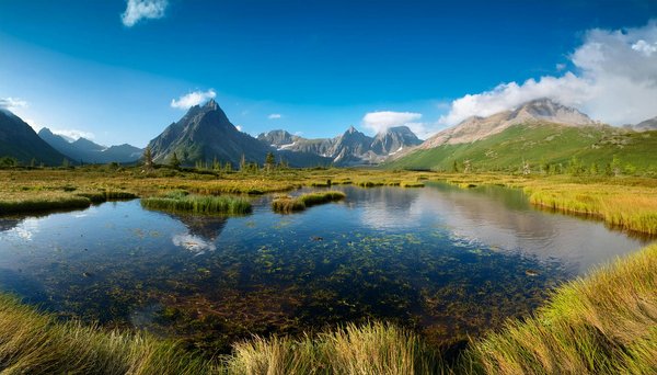 Casino Online: Guida Completa Numero 197