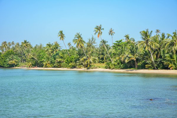 Straightforward BalloniX Knowledge